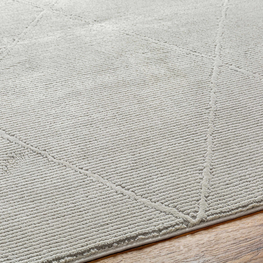 Aldis Grey Plush Textured Washable Rug  - Clearance