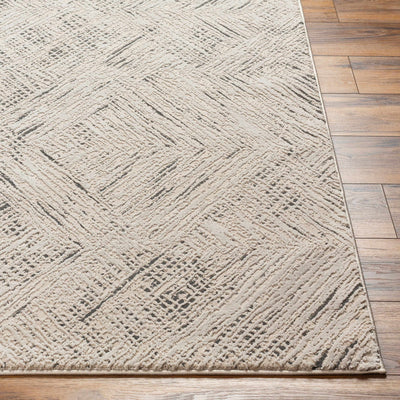 Garza Textured Beige Washable Rug