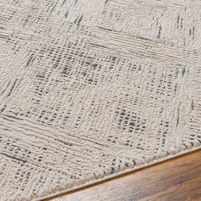 Garza Textured Beige Washable Rug