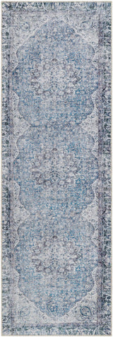 Dezso Washable Area Rug - Clearance
