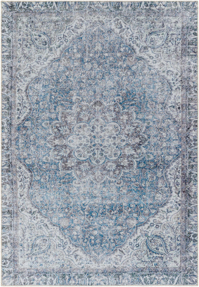 Dezso Ice Blue Washable Area Rug