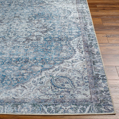 Dezso Ice Blue Washable Area Rug