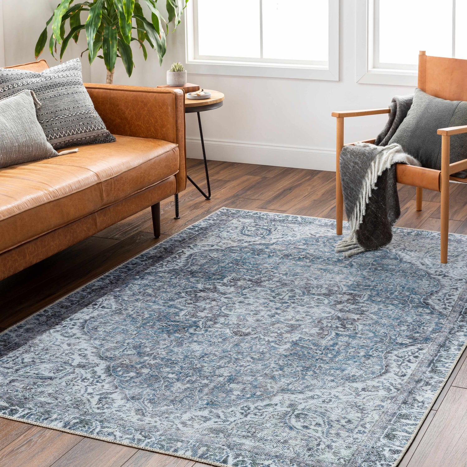 Dezso Washable Area Rug - Clearance