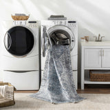 Dezso Washable Area Rug - Clearance