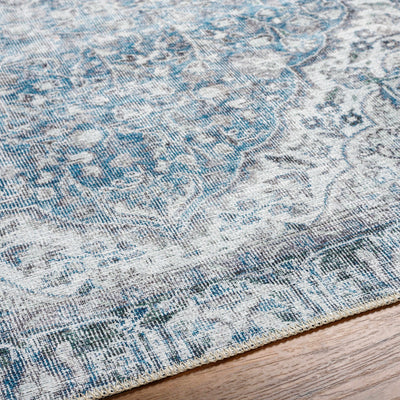 Dezso Ice Blue Washable Area Rug