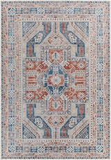Raja Washable Area Rug - Clearance