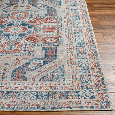 Raja Washable Area Rug - Clearance