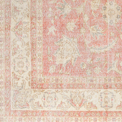 Annot Area Rug