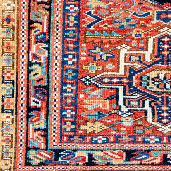 Anya Area Rug