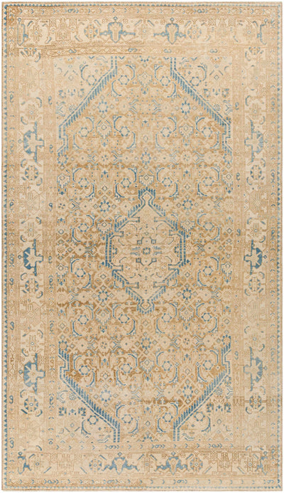 Ayami Area Rug