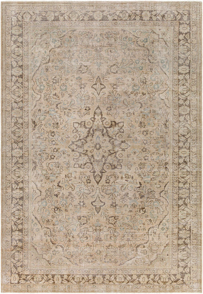 Belay Area Rug