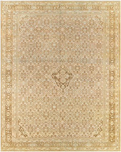 Borna Area Rug