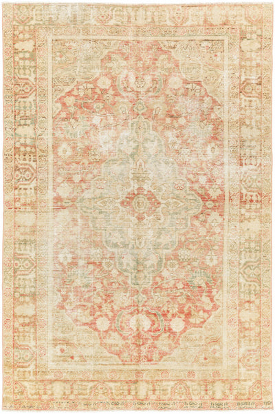 Chung Area Rug