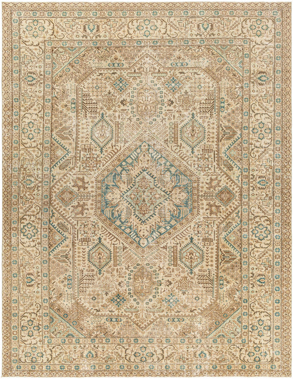 Etana Area Rug