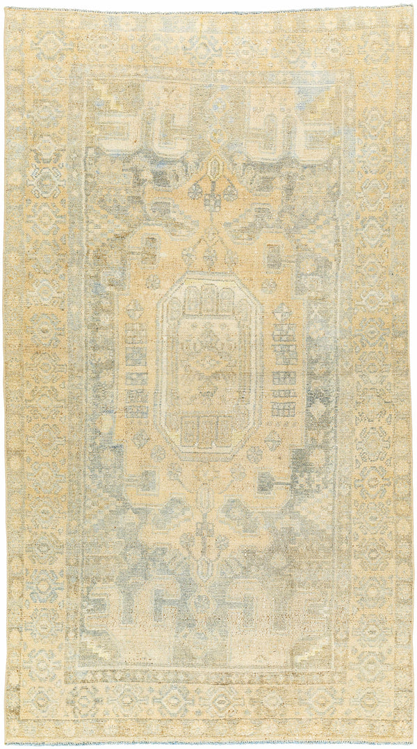 Fawzi Area Rug