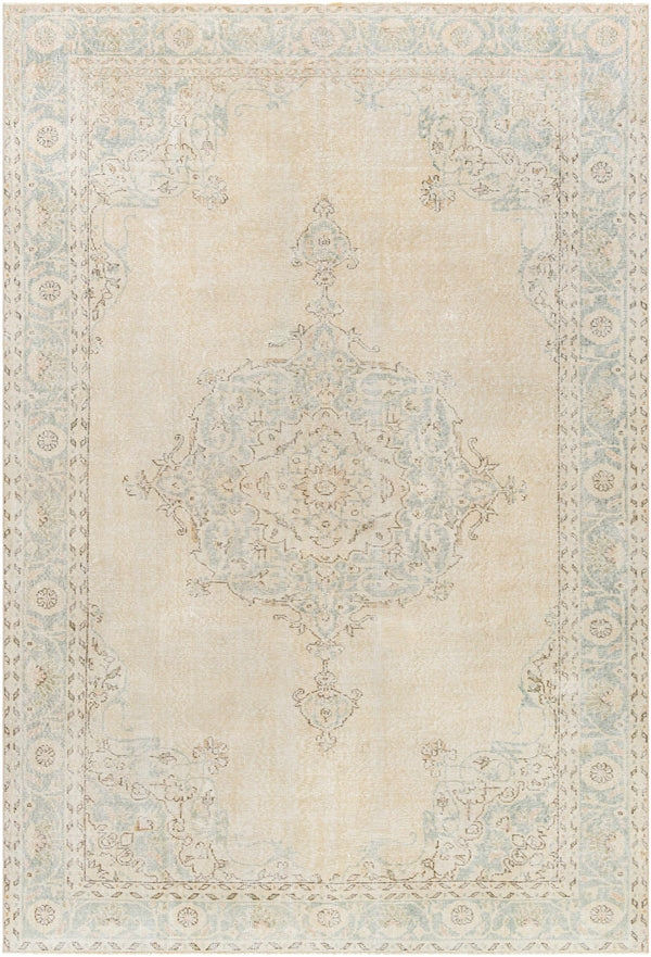 Hahn Area Rug