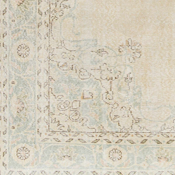 Hahn Area Rug