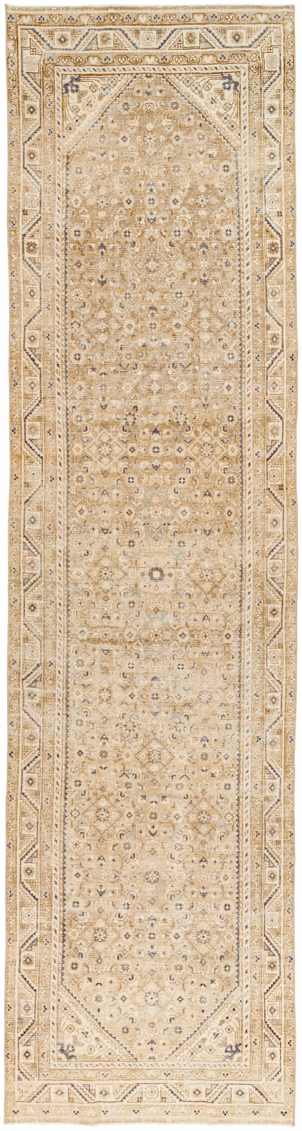 Hilol Area Rug