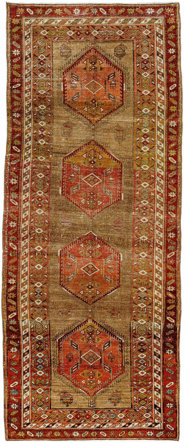 Iliya Area Rug