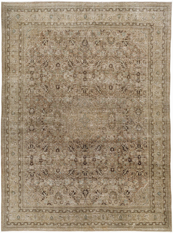 Katen Area Rug