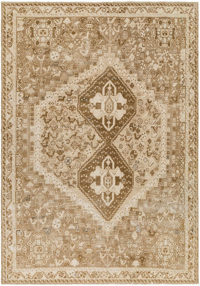 Netis Area Rug