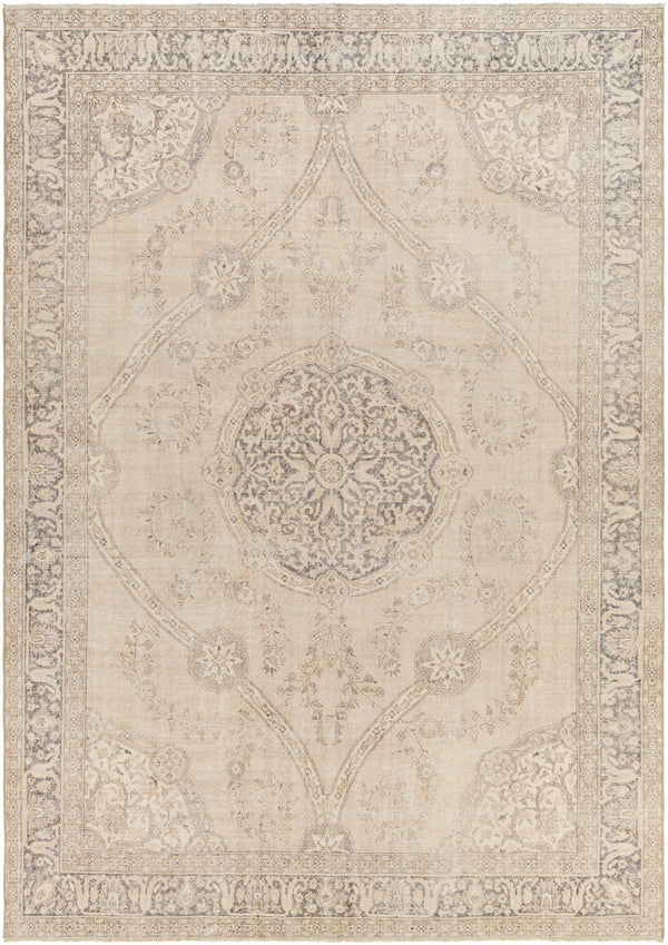 Novia Area Rug