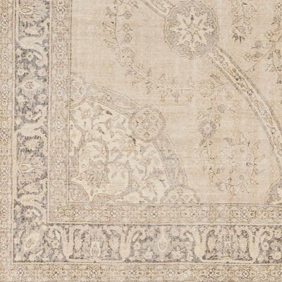 Novia Area Rug