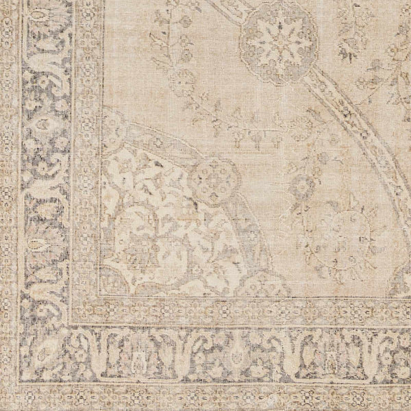 Novia Area Rug