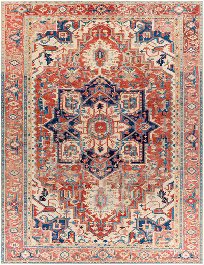 Sari Area Rug