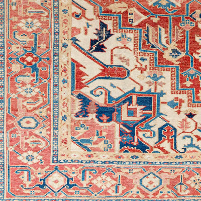 Sari Area Rug