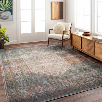 Olive Sariaya Distressed Washable Area Rug - Clearance