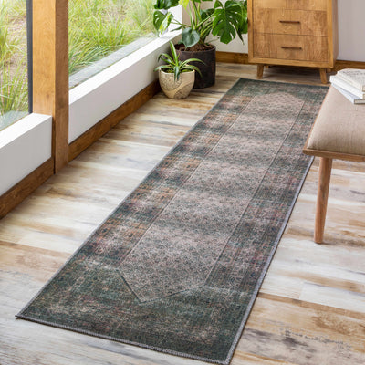 Olive Sariaya Distressed Washable Area Rug - Clearance