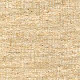 Close-up of the woven texture of the Gopi Jute Area Rug in Beige, showing its natural fibers and subtle color variations. Swatch
