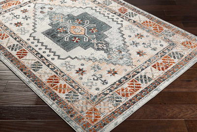 Saysain Area Rug - Clearance