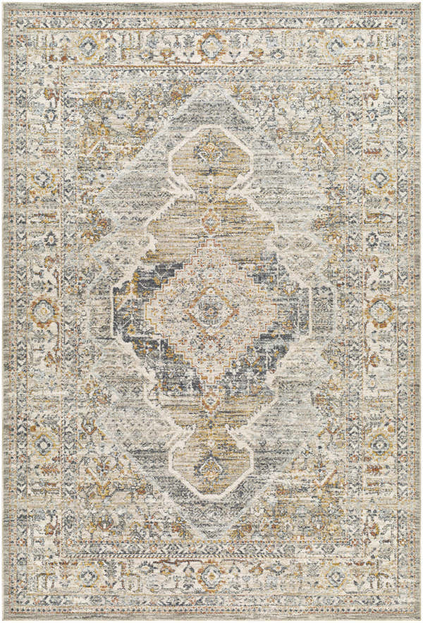 Detailed beige Jyler Traditional Area Rug with farmhouse style medallion pattern. Design-Rectangle-6796