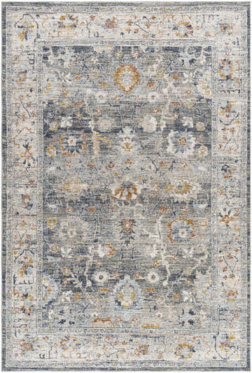 Close-up of the Karif Area Rug. Light gray and natural gray rug with a traditional floral pattern and border. Design-Rectangle-6796
