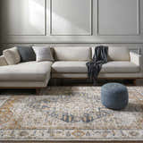 Living room scene with a light gray Kuruk Area Rug, beige sofa, and blue ottoman. Roomscene-Rectangle