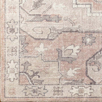 Close-up of the Elle Medallion Taupe Area Rug, showing its traditional pattern, beige, gray, and pastel red colors. Corner