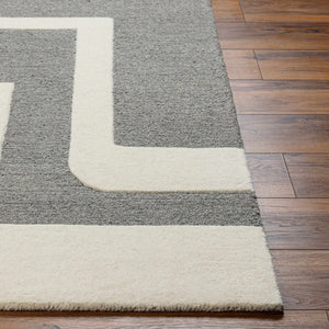 Suni Area Rug