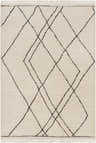 Close-up of Ausca Area Rug showcasing bone color and dark brown geometric diamond pattern with fringe. Design-Rectangle-537