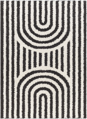 Avent Black & White Area Rug