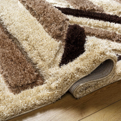 Abeje Chocolate Brown Area Rug