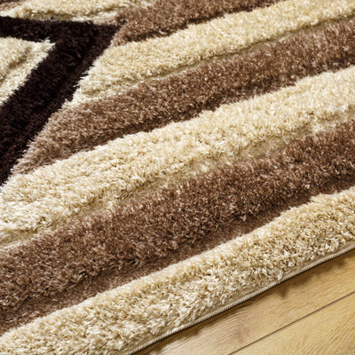 Abeje Chocolate Brown Area Rug