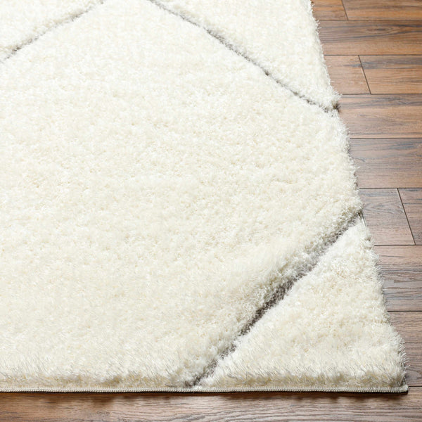 Aizza Area Rug