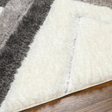Zody Area Rug