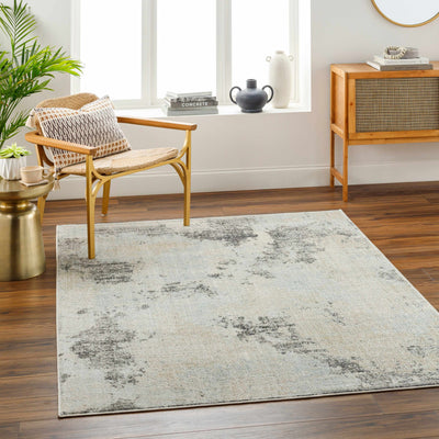 Hinto Area Rug