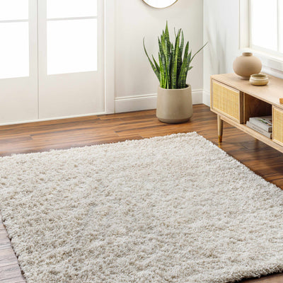 Bluma Beige Area Rug - Clearance