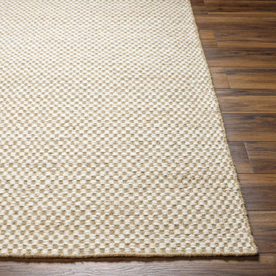 Ayers White & Beige Gambit Rug