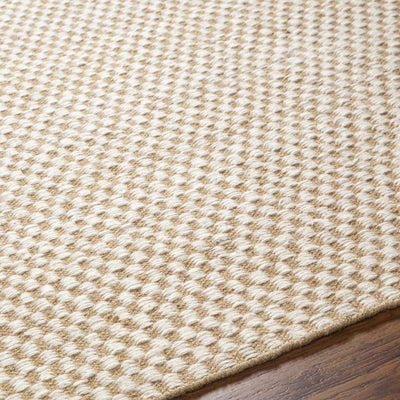 Ayers White & Beige Gambit Rug