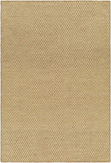 Ayers Beige Area Rug - Clearance
